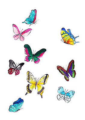 PSD 동물 나비 여러마리 일러스트 붓터치 사람없음 컬러풀 국내일러스트 컬러 다수 곤충 파일형식