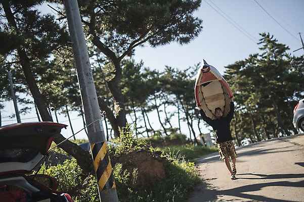 포토 JPG 주간 전신 나무 남자 길 한명 들기 사람 20대 야외 앞모습 여름 걷기 한국인 운반 전봇대 시골길 태안 성인남자한명만 패들보드 국내포토 자연요소 식물 1 계절 공공시설 뷰포인트 모션 동양인 청년 서핑 충청남도 남자한명만 성인남자만 파일형식