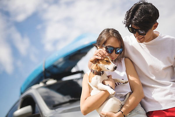 포토 JPG 주간 한마리 커플 여자 남자 바다 자동차 서기 사람 상반신 20대 야외 두명 앞모습 여름 맑음 기댐 한국인 강아지 태안 반려 성인만 패들보드 딩펫족 펫팸족 국내포토 자연요소 1 라이프스타일 계절 육상교통 뷰포인트 관계 모션 날씨 동양인 청년 반려동물 서핑 개 충청남도 신조어 파일형식