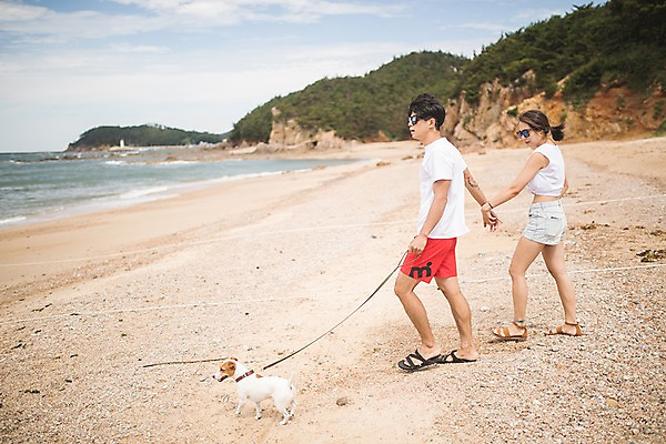 포토 JPG 주간 전신 한마리 커플 여자 남자 반려견 바다 사람 20대 해변 야외 두명 옆모습 여름 모래사장 선글라스 걷기 손잡기 다정 산책 한국인 강아지 태안 반려 성인만 국내포토 자연요소 1 계절 안경 뷰포인트 컨셉 관계 모션 휴식 동양인 청년 반려동물 개 충청남도 파일형식