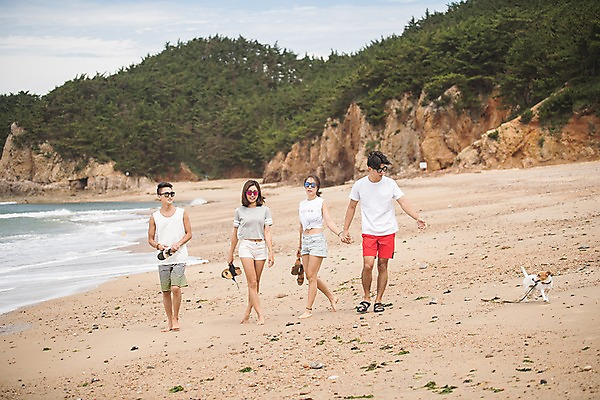 포토 JPG 주간 전신 한마리 커플 여자 남자 물결 바다 들기 사람 여러명 20대 성인 해변 야외 앞모습 여름 30대 모래사장 걷기 손잡기 맑음 다정 산책 한국인 강아지 숲 샌들 언덕 태안 반려 성인만 국내포토 자연요소 1 계절 뷰포인트 다수 신발 컨셉 관계 모션 날씨 휴식 동양인 청년 장년 반려동물 개 충청남도 파일형식