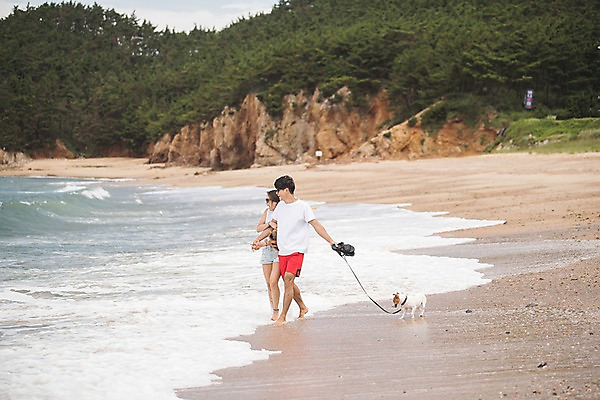 포토 JPG 주간 전신 한마리 커플 여자 남자 반려견 파도 바다 사람 20대 해변 야외 두명 옆모습 여름 걷기 다정 산책 한국인 잡기 강아지 즐거움 태안 반려 발담그기 성인만 국내포토 자연요소 1 계절 감정 뷰포인트 컨셉 관계 모션 휴식 동양인 청년 반려동물 개 충청남도 파일형식