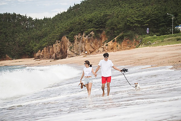 포토 JPG 주간 전신 나무 한마리 커플 여자 남자 반려견 파도 바다 들기 사람 20대 해변 야외 두명 앞모습 여름 걷기 손잡기 다정 산책 한국인 강아지 샌들 언덕 즐거움 태안 반려 발담그기 성인만 국내포토 자연요소 식물 1 계절 감정 뷰포인트 신발 컨셉 관계 모션 휴식 동양인 청년 반려동물 개 충청남도 파일형식