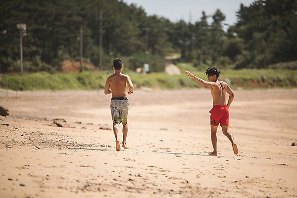 포토 JPG 주간 전신 남자 수영복 사람 20대 야외 두명 옆모습 뒷모습 여름 30대 친구 모래사장 달리기 손들기 한국인 숲 태안 성인남자만 국내포토 자연요소 옷 계절 바다 뷰포인트 관계 모션 동양인 청년 장년 충청남도 남자만 성인만 파일형식