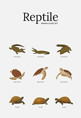 동물 여러마리 일러스트 파충류 사람없음 세트 다양 거북이 악어 바다거북 국내일러스트 AI파일 다수 파일형식 벡터