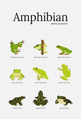 동물 여러마리 일러스트 개구리 양서류 사람없음 세트 다양 청개구리 국내일러스트 AI파일 다수 파일형식 벡터
