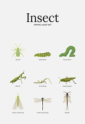 동물 곤충 여러마리 일러스트 사람없음 세트 다양 잠자리 애벌레 메뚜기 사마귀 나무벌레 진드기 하루살이 국내일러스트 AI파일 다수 해충 벌레 파일형식 벡터