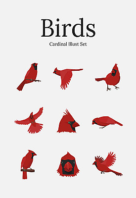동물 여러마리 일러스트 조류 사람없음 빨간색 세트 홍관조 국내일러스트 AI파일 컬러 다수 파일형식 벡터