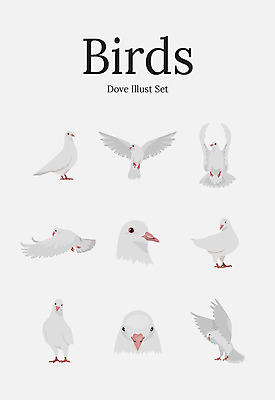 동물 여러마리 일러스트 조류 사람없음 세트 비둘기 국내일러스트 AI파일 다수 파일형식 벡터