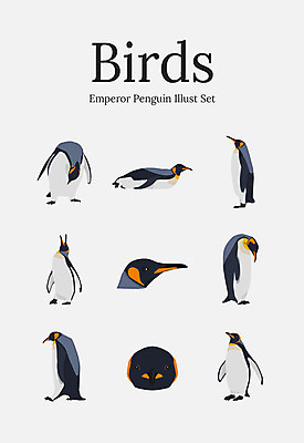 동물 여러마리 일러스트 조류 사람없음 세트 펭귄 황제펭귄 국내일러스트 AI파일 다수 파일형식 벡터