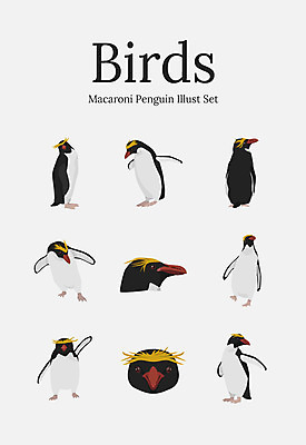 동물 여러마리 일러스트 조류 사람없음 세트 펭귄 국내일러스트 AI파일 다수 파일형식 벡터