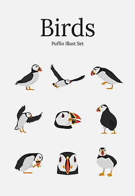 동물 여러마리 일러스트 조류 사람없음 세트 퍼핀 국내일러스트 AI파일 다수 파일형식 벡터