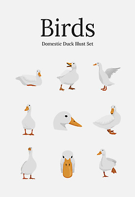 동물 여러마리 일러스트 조류 오리 사람없음 세트 국내일러스트 AI파일 다수 파일형식 벡터