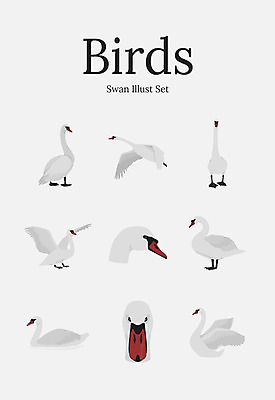 동물 여러마리 일러스트 조류 사람없음 세트 백조 국내일러스트 AI파일 다수 파일형식 벡터