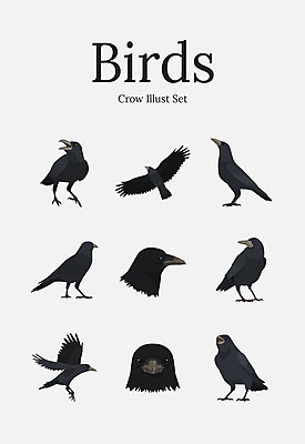 동물 여러마리 일러스트 조류 사람없음 세트 까마귀 국내일러스트 AI파일 다수 파일형식 벡터