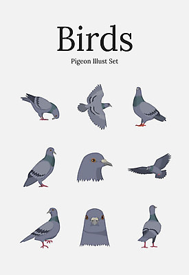 동물 여러마리 일러스트 조류 사람없음 세트 비둘기 국내일러스트 AI파일 다수 파일형식 벡터