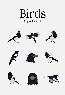 동물 여러마리 일러스트 조류 사람없음 세트 까치 국내일러스트 AI파일 다수 파일형식 벡터