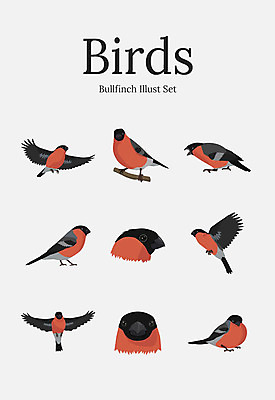동물 여러마리 일러스트 조류 사람없음 세트 국내일러스트 AI파일 다수 파일형식 벡터