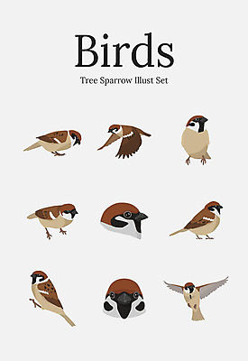 동물 여러마리 일러스트 조류 사람없음 세트 참새 국내일러스트 AI파일 다수 파일형식 벡터