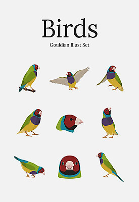동물 여러마리 일러스트 조류 사람없음 세트 호금조 국내일러스트 AI파일 다수 파일형식 벡터