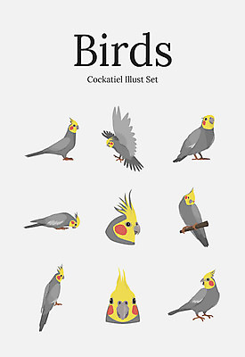 동물 여러마리 일러스트 조류 사람없음 세트 앵무새 왕관앵무새 국내일러스트 AI파일 다수 파일형식 벡터