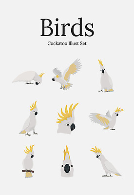 동물 여러마리 일러스트 조류 사람없음 세트 앵무새 국내일러스트 AI파일 다수 파일형식 벡터