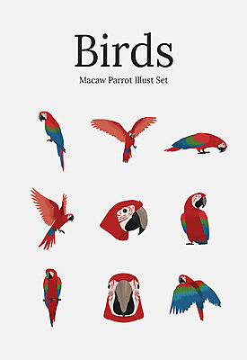 동물 여러마리 일러스트 조류 사람없음 세트 앵무새 국내일러스트 AI파일 다수 파일형식 벡터