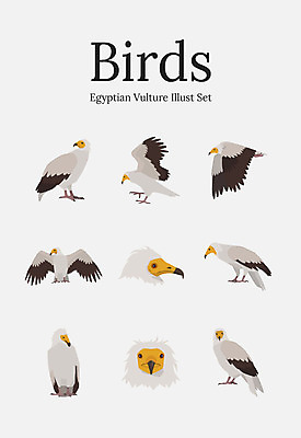 동물 여러마리 일러스트 조류 사람없음 세트 독수리 국내일러스트 AI파일 다수 파일형식 벡터