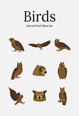 동물 여러마리 일러스트 조류 사람없음 세트 부엉이 수리부엉이 국내일러스트 AI파일 다수 파일형식 벡터