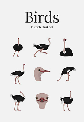 동물 여러마리 일러스트 조류 사람없음 세트 타조 국내일러스트 AI파일 다수 파일형식 벡터