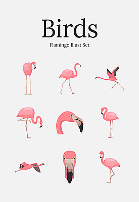 동물 여러마리 일러스트 조류 사람없음 세트 플라밍고 국내일러스트 AI파일 다수 파일형식 벡터