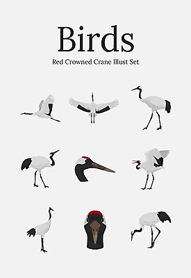 동물 여러마리 일러스트 조류 사람없음 세트 학 국내일러스트 AI파일 다수 파일형식 벡터