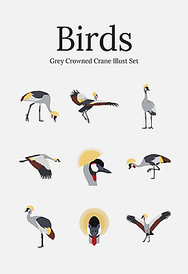 동물 여러마리 일러스트 조류 사람없음 세트 학 국내일러스트 AI파일 다수 파일형식 벡터