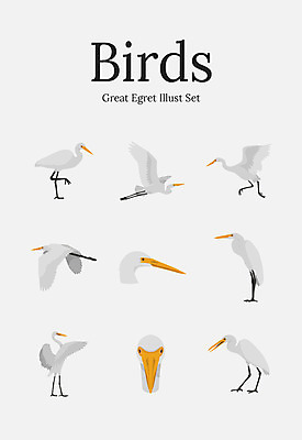 동물 여러마리 일러스트 조류 사람없음 세트 국내일러스트 AI파일 다수 파일형식 벡터