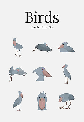 동물 여러마리 일러스트 조류 사람없음 세트 황새 국내일러스트 AI파일 다수 파일형식 벡터