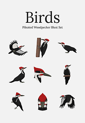 동물 여러마리 일러스트 조류 사람없음 세트 딱다구리 국내일러스트 AI파일 다수 파일형식 벡터