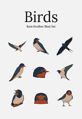 동물 여러마리 일러스트 조류 사람없음 세트 제비 국내일러스트 AI파일 다수 파일형식 벡터
