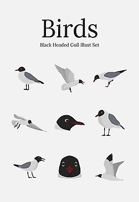 동물 여러마리 일러스트 갈매기 조류 사람없음 세트 국내일러스트 AI파일 다수 파일형식 벡터