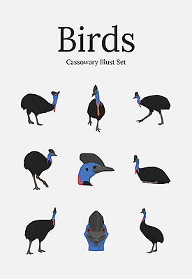 동물 여러마리 일러스트 조류 사람없음 세트 타조 화식조 국내일러스트 AI파일 다수 파일형식 벡터
