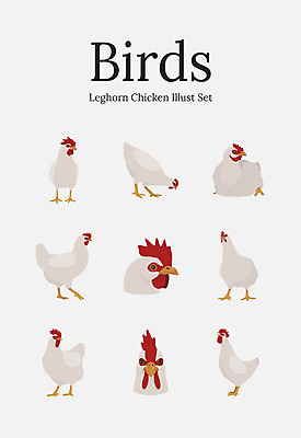 동물 여러마리 일러스트 조류 사람없음 세트 닭 벼슬 국내일러스트 AI파일 다수 파일형식 벡터