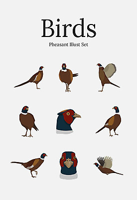 동물 여러마리 일러스트 조류 사람없음 세트 꿩 국내일러스트 AI파일 다수 파일형식 벡터