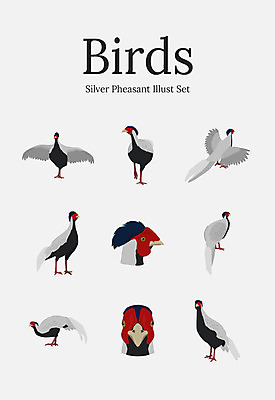 동물 여러마리 일러스트 조류 사람없음 세트 꿩 국내일러스트 AI파일 다수 파일형식 벡터