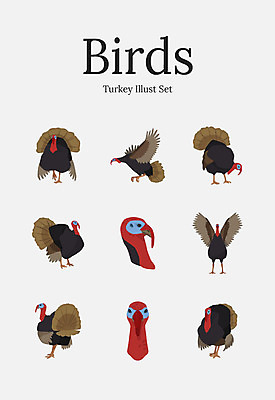 동물 여러마리 일러스트 조류 사람없음 세트 칠면조 국내일러스트 AI파일 다수 파일형식 벡터