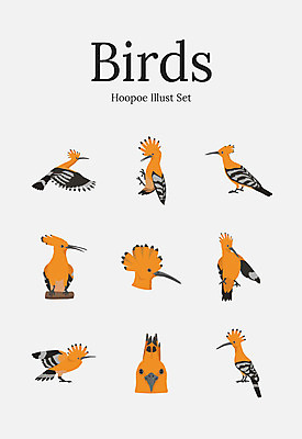 동물 여러마리 일러스트 조류 사람없음 세트 후투티 국내일러스트 AI파일 다수 파일형식 벡터