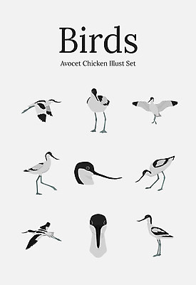 동물 여러마리 일러스트 조류 사람없음 세트 물떼새 국내일러스트 AI파일 다수 파일형식 벡터