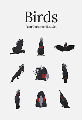 동물 여러마리 일러스트 조류 사람없음 세트 앵무새 야자앵무새 국내일러스트 AI파일 다수 파일형식 벡터