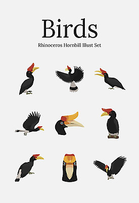 동물 여러마리 일러스트 조류 사람없음 세트 코뿔새 국내일러스트 AI파일 다수 파일형식 벡터