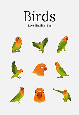 동물 여러마리 일러스트 조류 사람없음 세트 앵무새 러브버드 국내일러스트 AI파일 다수 파일형식 벡터