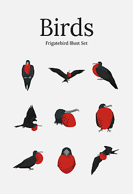 동물 여러마리 일러스트 조류 사람없음 세트 군함조 국내일러스트 AI파일 다수 파일형식 벡터