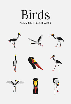 동물 여러마리 일러스트 조류 사람없음 세트 황새 국내일러스트 AI파일 다수 파일형식 벡터